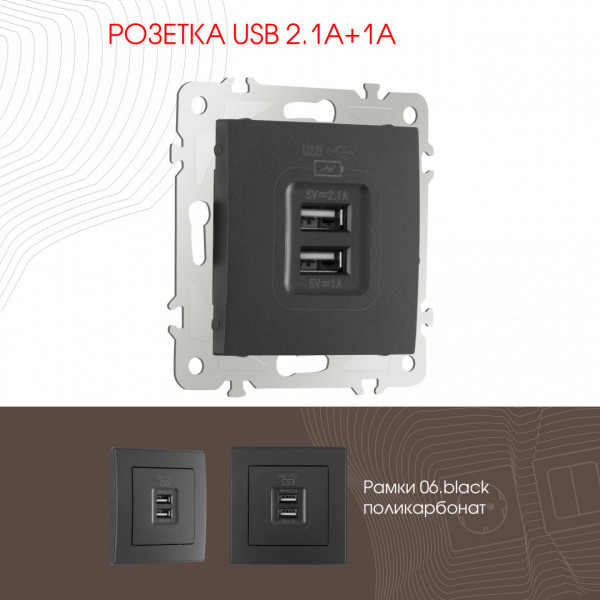 Розетка USB 2.1А+1А 206.46-1.black