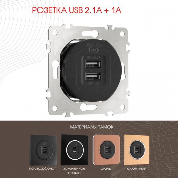Розетка USB 2.1А+1А 202.46-1.black Arte Milano