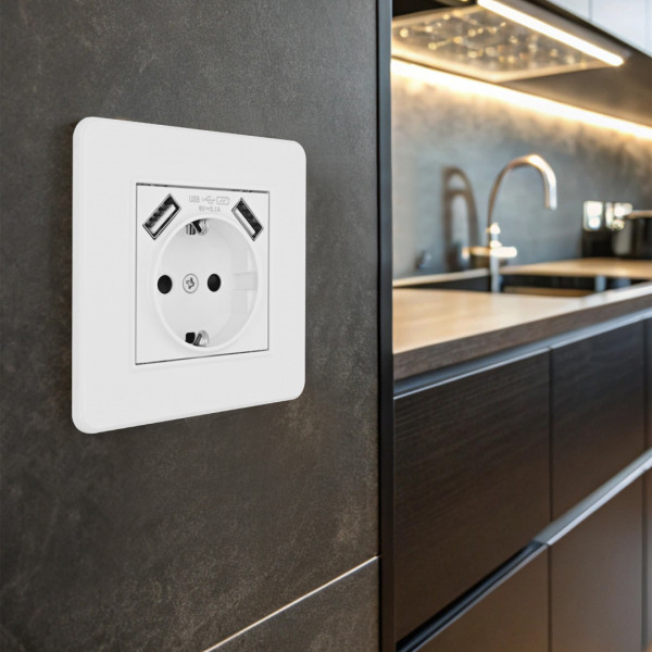 Комплект розетки с заземлением и шторками + 2 USB и рамкой однопостовой, цвет белый, материал рамки - пластик, SET16-1-47-1 white